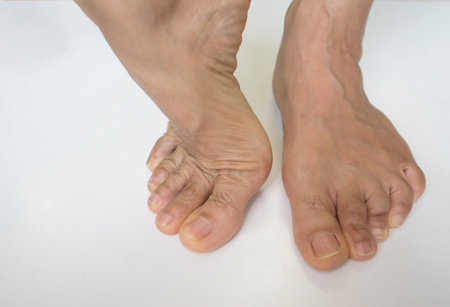 Close up of female feet on a white background with copy space.の写真素材