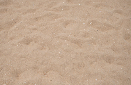 Sand texture background. Close up of beach sand.