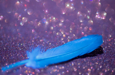 Blue feather on a purple glitter background with bokeh lights.の写真素材
