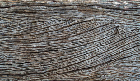 Old wood texture background. Close up of old wood texture background.の写真素材