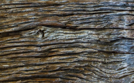 Close up Old wood texture background.の写真素材