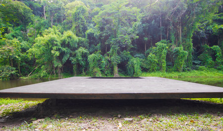 Empty wooden table for display montages in the park and forest backgroundの写真素材