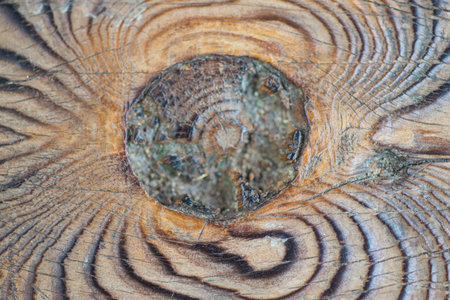 Wooden background with a hole in the form of a cross sectionの写真素材