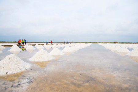 Salt farming in the countryside .の写真素材