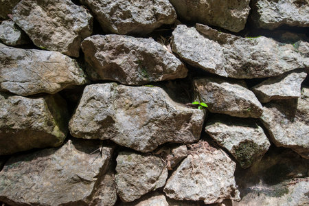 Background of stone wall texture. Old stone wall texture for background.の写真素材