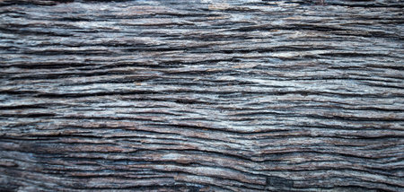 Old wood texture background. Close up surface of old wood