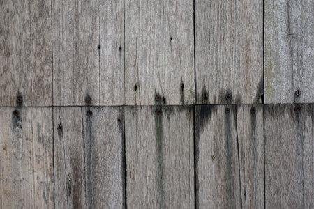 Old wooden background, detail of an old wooden wall, wood textureの写真素材