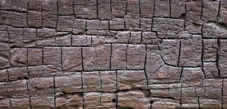 Old wood texture for background. Close up.