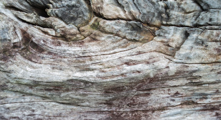 Old wood texture with natural pattern for background. Close up image.の写真素材