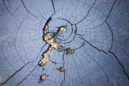 Wooden texture with cracks and scratches. Abstract background for design.の写真素材