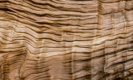Old wood texture with natural pattern for background and design art work.
