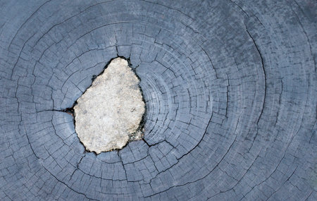 Old wood texture background surface with old natural pattern top view.の写真素材