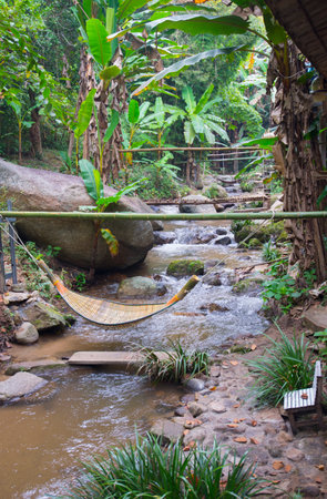 Hammock on the stream in the forest,Thailand.の写真素材