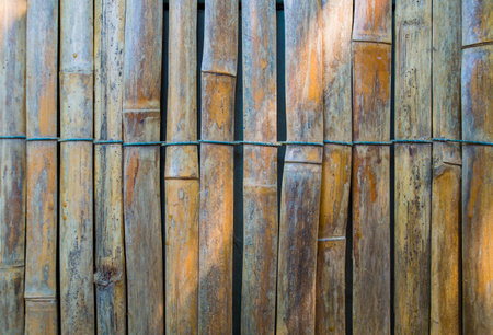Bamboo fence background, Thailand. Texture of old bamboo fence.の写真素材