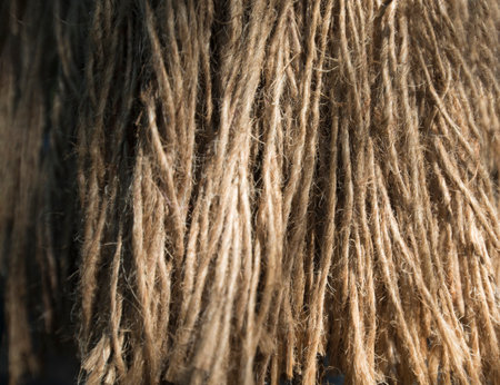 Close up of the wool, detail of woolの写真素材