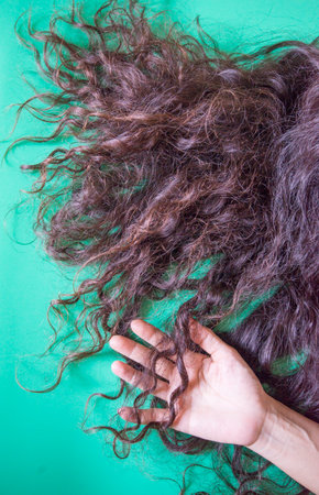 Close up of woman's long brown hair on a green background.の写真素材