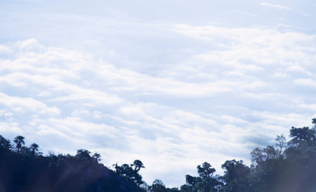 clouds in the blue sky over the forest, nature background.