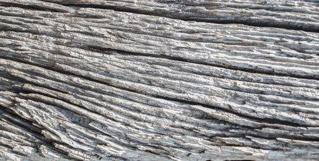Old wood texture background,abstract old .
