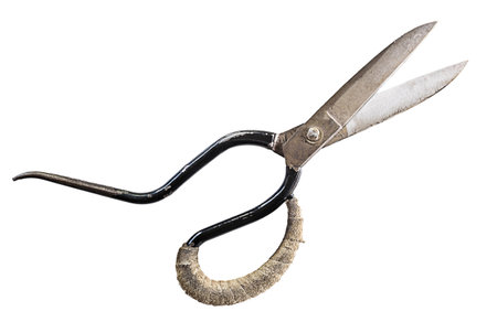 Open Old Scissors isolated on white backgroundの写真素材