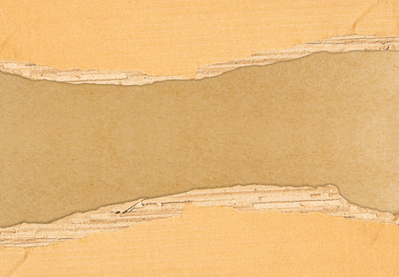 brow paper and space for textの写真素材
