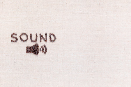 Word Sound and below it a small megaphone all made from coffee beans shot from above,aligned to the left.の写真素材