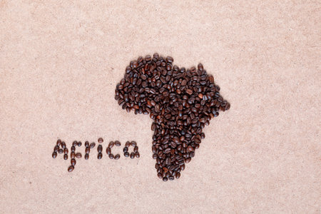 Bunch of fresh roasted coffee beans forming African continent on plywood surface, aligned in centerの写真素材
