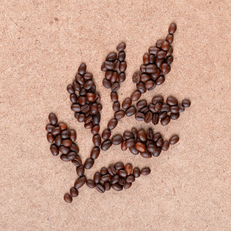 Close up of coffee branch made of roasted beans on yellow plywood surfaceの写真素材