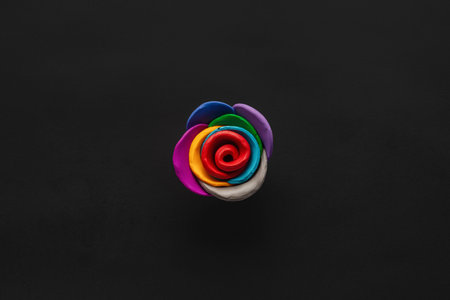 A flower made from multicolored plasticine on black background , shot from above, aligned in the center.の写真素材