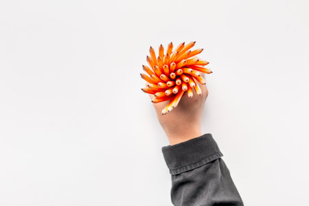 A hand holding a bunch of pencils on white background , shot from above.の写真素材