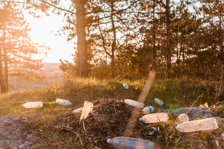 Portrait of a heap of garbage in the forest during the sunrise.の写真素材