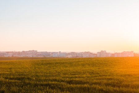 A shot of a beautiful city and a green plain during sunset.の写真素材