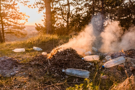 A pile of burning leaves next to a bunch of plastic bottle in the forest at sunrise.の写真素材