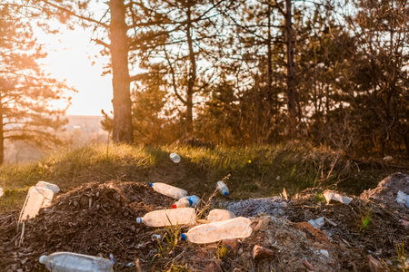 Portrait of a heap of garbage in the forest during the sunrise.の写真素材