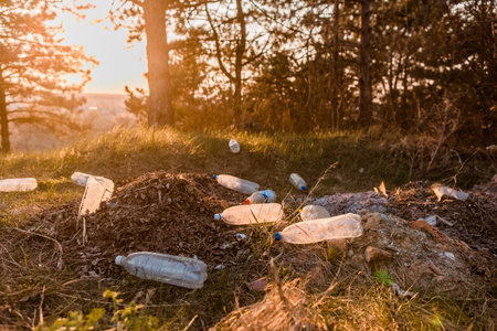 Portrait of a bunch of plastic bottles in the forest during the sunrise.の写真素材