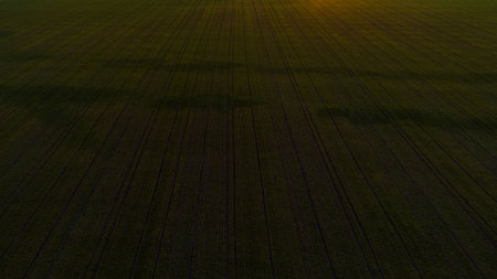 Aerial view of a big green prosperous field.の写真素材