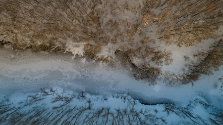 Aerial view of a white snowy forest.の写真素材