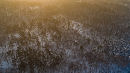 Aerial view of a white snowy forest, during sunrise.の写真素材