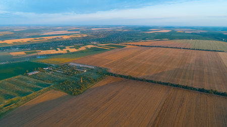Golden wheat fields, lines of green trees and a village all shot from above.の写真素材