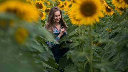 Gorgeous young female farmer walking through the middle of a green sunflower field during a sunny, beautiful day.の写真素材