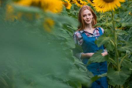 Gorgeous young farmerette standing in the middle of a green sunflower field, during a sunny, beautiful day.の写真素材