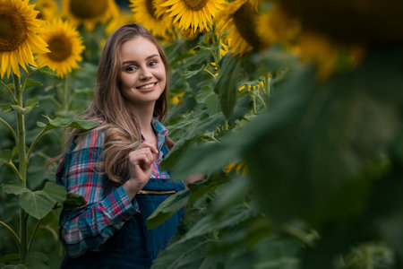 Gorgeous young female farmer walking through the middle of a green sunflower field during a sunny, beautiful day.の写真素材