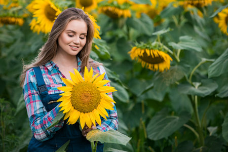 Gorgeous young female farmer standing in the middle of a green sunflower field examining a golden sunflower, during a sunny, beautiful day.の写真素材