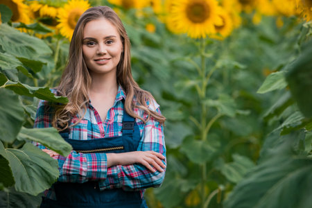 Gorgeous young female farmer standing in the middle of a green sunflower field with her hands crossed, during a sunny, beautiful day.の写真素材