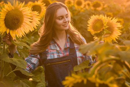 Gorgeous young female farmer standing in the middle of a green sunflower field, during a majestic sunrise in the early morning.の写真素材