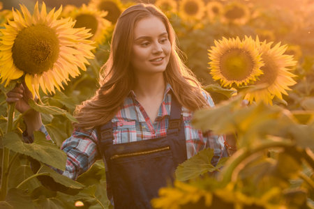 Gorgeous young female farmer standing in the middle of a green sunflower field, during a majestic sunrise in the early morning.の写真素材