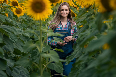 Gorgeous young female farmer walking through the middle of a green sunflower field during a sunny, beautiful day.の写真素材