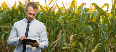 Handsome, blonde businessman holding a black tablet and standing in the middle of a beautiful corn field during sunrise.の写真素材