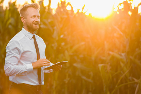 Attractive businessman typing on his black tablet in the middle of a green corn field during a beautiful sunrise.の写真素材