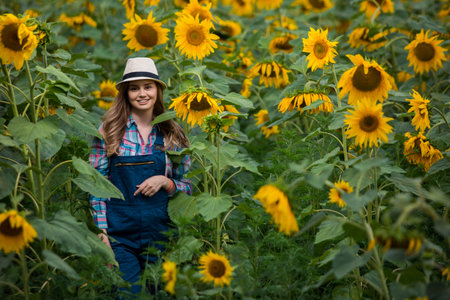 Gorgeous young female farmer standing in the middle of a green sunflower field, during a sunny, beautiful day.の写真素材