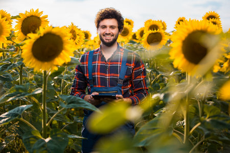 Handsome young farmer standing in the middle of a golden sunflower field smiling and holding his...
